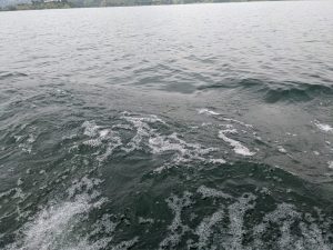 Karongi: Umunyeshuri warangizaga kaminuza yarohamye mu Kiyaga cya Kivu