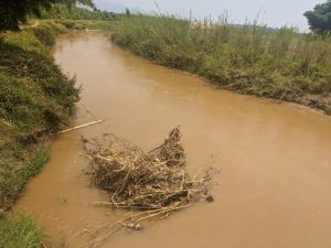 Nyamasheke: Umunyeshuri w’imyaka 12 yishwe n’umugezi wa Karundura