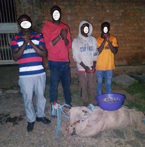 Nyamasheke: 4 bafashwe barobesha imitego yangiza utwana tw’isambaza