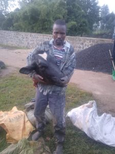 Rubavu: Bibye inka  barayibaga bafatanwa igihanga cyayo bagiye kucyambutsa muri Congo