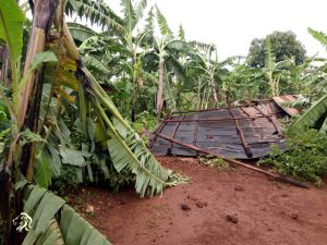 Ngoma: Imiryango 15 yasenyewe n’imvura inangiza Hegitari 5 z’urutoki
