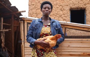 Nyamagabe: Ubworozi bw’inkoko bwagabanyije imirire mibi