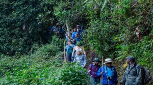 Abanyamahanga basura u Rwanda barwinjirije asaga miliyari 236 Frw mu mezi atatu