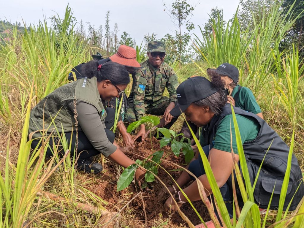 Amajyepfo: Miliyari zirenga 13 Frw zigiye gushorwa mu mushinga Green Amayaga II