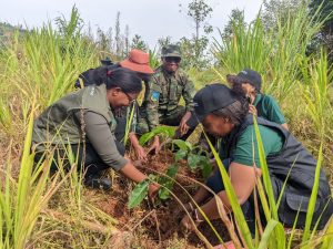Amajyepfo: Miliyari zirenga 13 Frw zigiye gushorwa mu mushinga Green Amayaga II