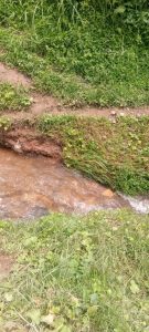 Nyamasheke : Umwana w’imyaka 8 yatwawe n’umugezi aburirwa irengero&nbsp;