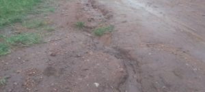 Kayonza: Barifuza gukorerwa umuhanda Nyawera- Gasarabwayi ukaborohereza ingendo