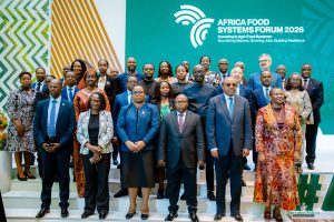 Afurika ifite icyuho cy’ishoramari mu rwego rw’ibiribwa – AGRA