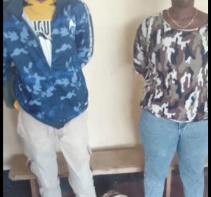 Rubavu: Umugabo n’umugore we bafatanywe udupfunyika 171 tw’urumogi