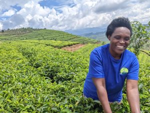 Nyamasheke: Yavuye mu mashyamba ya Congo, yinjiza 400,000 Frw ayakesha icyayi