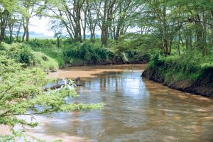 Kwibuka 32: Nyagatare hibutswe Abatutsi bajugunywe mu mugezi w’Umuvumba