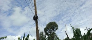 Musanze-Muhoza: Bamaze imyaka 3 bizezwa Taransifo y’amashanyarazi, amaso yaheze mu kirere