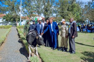 Nyagatare: Uwarokotse Jenoside worojwe inka ayitegerejeho kumuhindurira imibereho