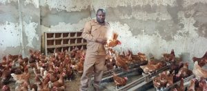 Gakenke: Yinjiza miliyoni 3 Frw buri kwezi abikesha ubworozi bw’inkoko