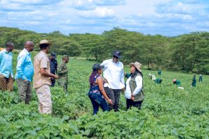 Nyagatare: Imiteja n’urusenda bitanga toni hafi ibihumbi bitandatu 6 ku mwaka 