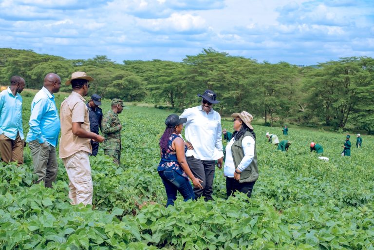 Nyagatare: Imiteja n’urusenda bitanga toni hafi ibihumbi bitandatu 6 ku mwaka 