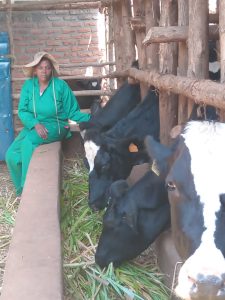 Kayonza: Uwahawe inka muri Girinka, ubu afite inka 7 z’agaciro ka miliyoni 8,7 Frw