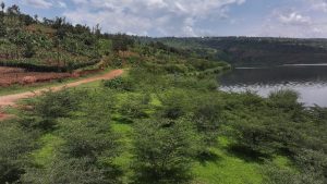 Iburasirazuba: Ahashoboraga kuba ubutayu hagaruye ubuzima kubera amashyamba 