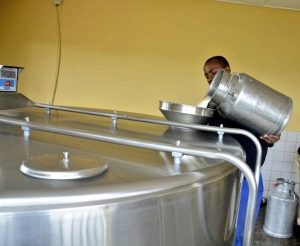 Girinka mu byazamuye umukamo uva kuri litiro 332,000 ugera kuri litiro miliyoni 2.9