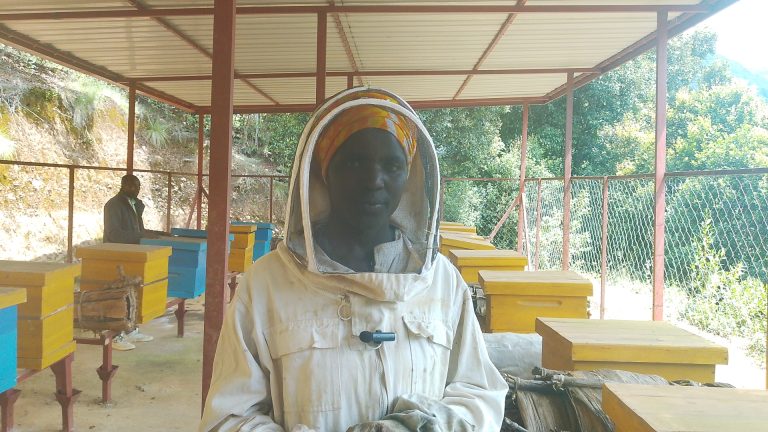 Ngororero: Imibereho y’abagore bavumbuye ibanga ry’ubukire mu buvumvu