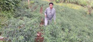 Gasabo: Ku myaka 29, ubuhinzi bw’umwuga  bwamuhinduye umumiliyoneri 