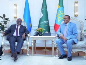 U Rwanda rwitabiriye Inama ya 49 y’Akanama ka AU