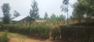 Nyagatare: Mu mezi ane hakozwe ibyangombwa 22 991 by’ubutaka bishyikirizwa ba nyira byo