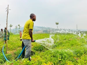 Nyagatare: Kuhira byatumye umusaruro w’ubuhinzi wiyongera