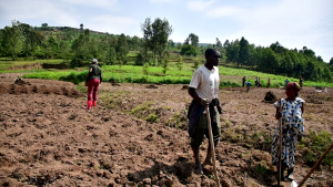 Nyagatare: RAB yatanze umucyo ku bavuga ko inyongeramusaruro zibageraho zitinze