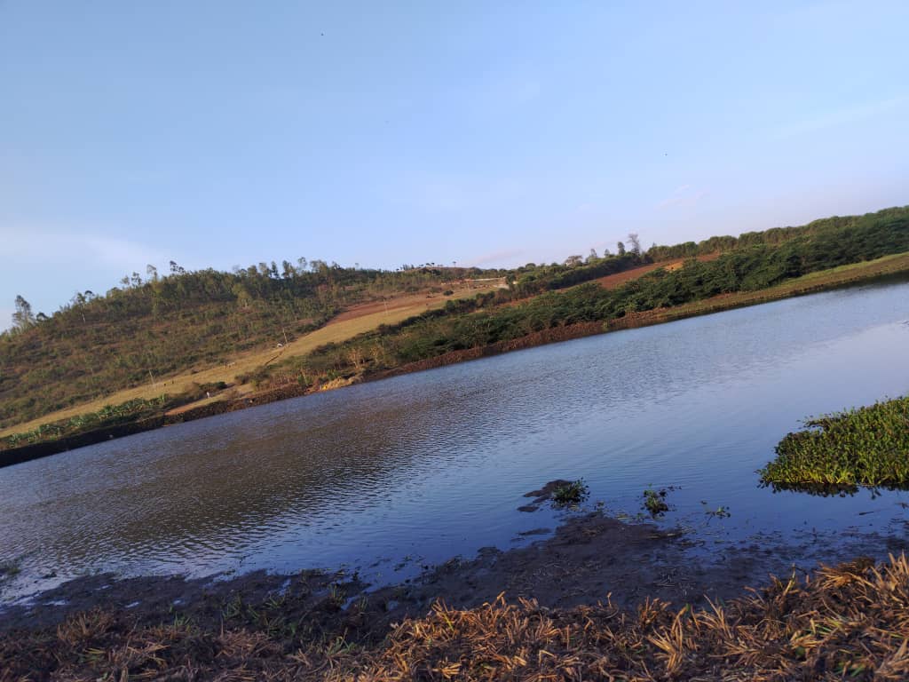 Nyagatare: Abuhira ku idamu ya Rwarucura bashima ko yatangiye gukurwamo amarebe