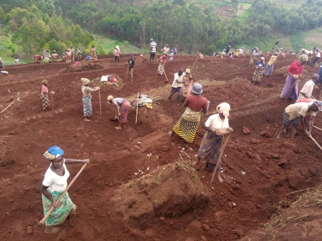 Rusizi: Abari bazengerejwe n’isuri bakiriye neza  amaterasi y’indinganire