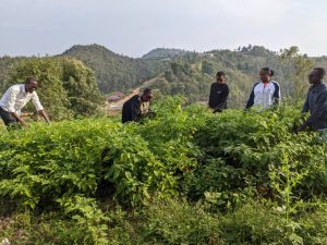 Nyamasheke:  Ishuri rirateganya kwinjiza miliyoni 100 Frw mu buhinzi n’ubworozi
