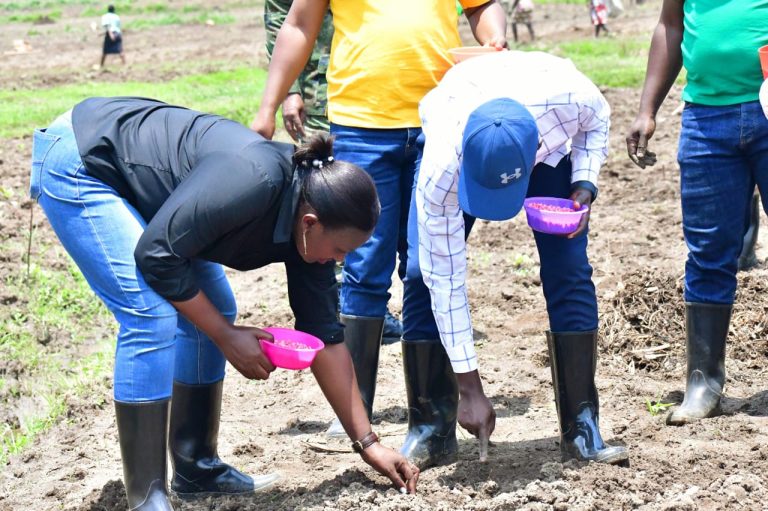 Kamonyi: Abahinzi barasabwa guhinga ubutaka bwose
