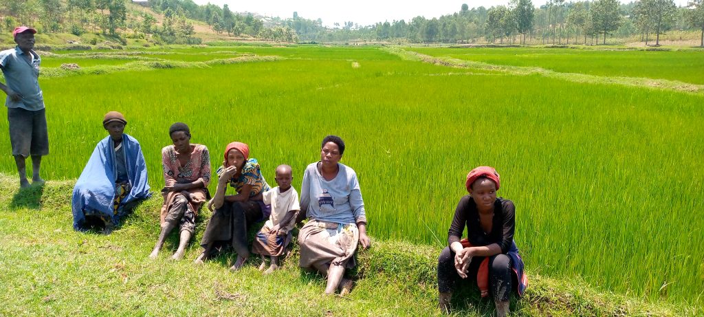 Ruhango: Birinda Malariya mu ngo ikabazonga bayisanze mu gishanga