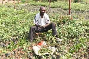 Musanze: Yihangiye umurimo abasaga 80 mu gutubura indabo n’ibiti