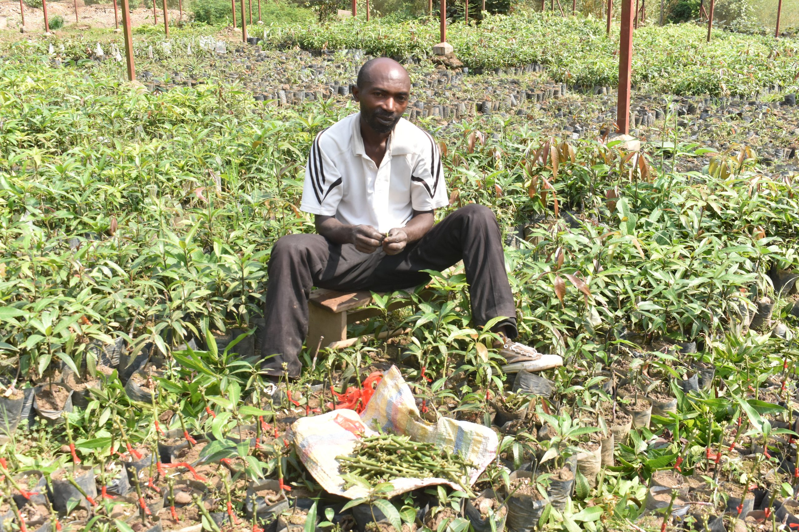 Musanze: Yihangiye umurimo abasaga 80 mu gutubura indabo n’ibiti